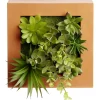 Cadre végétal plante artificielle murale < Gifi Hot