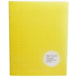 Cahier grands carreaux couverture rigide 96 pages 17x22cm x5