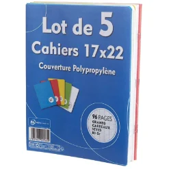 Cahier grands carreaux couverture rigide 96 pages 17x22cm x5