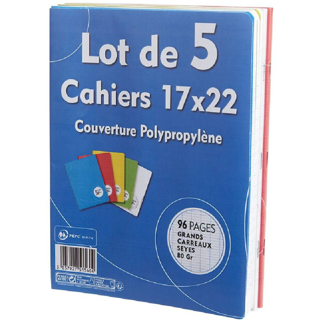 Cahier grands carreaux couverture rigide 96 pages 17x22cm x5
