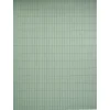Canisse double face occultation modérée PVC verte 300xH150cm