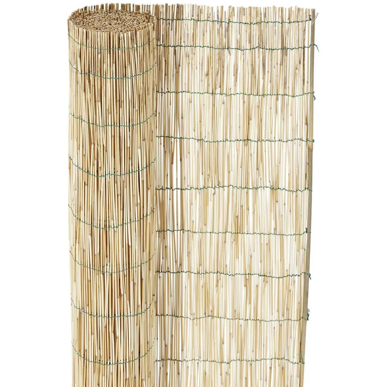 Canisse en paillon de roseaux pelés L500 x H150 cm