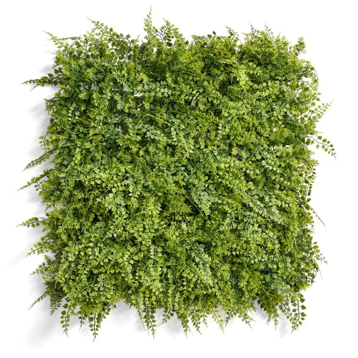 Carré végétal artificiel fougère 50x50cm clipsable < Gifi Outlet