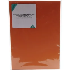 Carte A4 x15 < Gifi Discount
