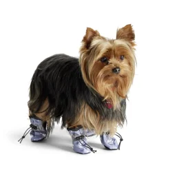 Chaussures pour animaux x4 Ø3,5x4,5cm (3 modèles) < Gifi New
