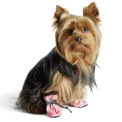 Chaussures pour animaux x4 Ø3,5x4,5cm (3 modèles) < Gifi New