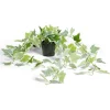 Chute lierre artificiel L60cm < Gifi Hot