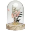 Cloche déco pampa socle bois naturel < Gifi Hot