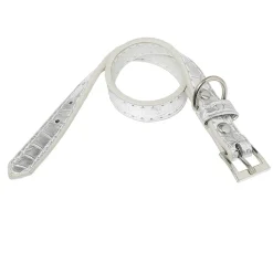 Collier pour chien plastique réglable gris brillant taille S < Gifi Sale