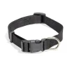 Collier pour chien - Taille L < Gifi