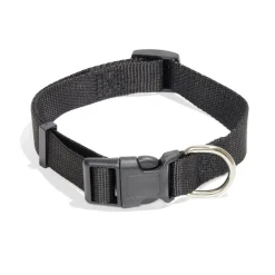 Collier pour chien - Taille M