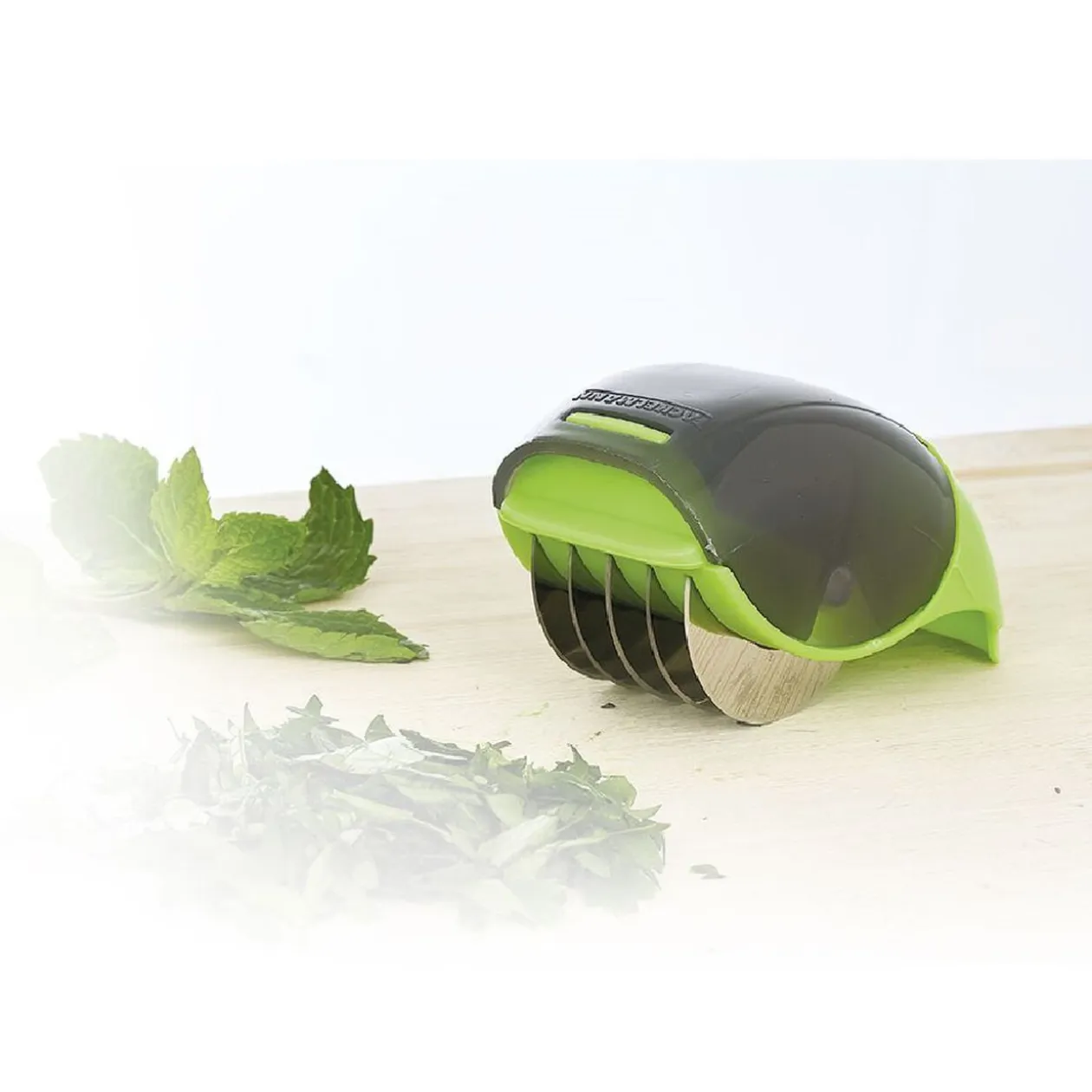 Coupe herbes aromatiques vert anis