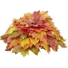 Coussin feuilles d'érable artificiel orange Ø40xH20cm
