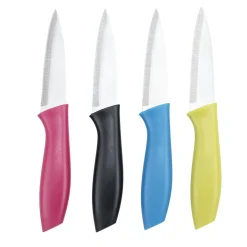 Couteau de cuisine x4 lame inox manche plastique coloré et étuis L19,5cm