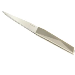 Couteau à steack inox manche plastique (3 modèles)