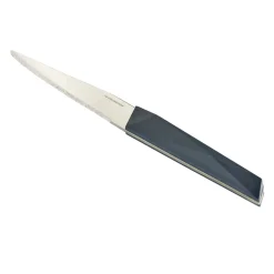 Couteau à steack inox manche plastique (3 modèles)