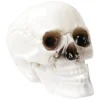 Crâne déco Halloween blanc x6 < Gifi Outlet
