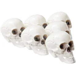 Crâne déco Halloween blanc x6 < Gifi Outlet