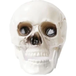 Crâne déco Halloween blanc x6 < Gifi Outlet