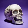 Crâne décoration Halloween 19x15xH16cm < Gifi Sale