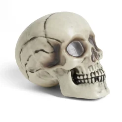 Crâne décoration Halloween 19x15xH16cm < Gifi Sale