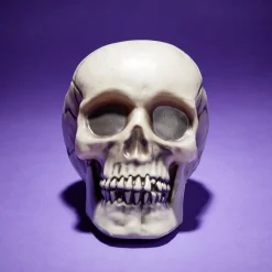 Crâne décoration Halloween 19x15xH16cm < Gifi Sale