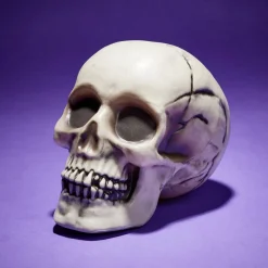 Crâne décoration Halloween 19x15xH16cm < Gifi Sale