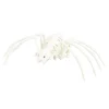 Décoration Halloween squelette d'araignée 24x14,8xH5cm < Gifi Discount