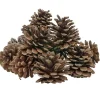 Décoration pomme de pin - Filet de 220g < Gifi Discount