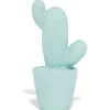 Décoration pot cactus