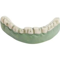 Dentier zombie vert et blanc