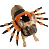 Déguisement chien Halloween araignée orange et noir L/XL