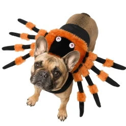 Déguisement chien Halloween araignée orange et noir L/XL