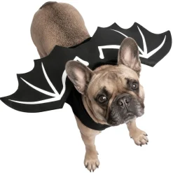 Déguisement chien Halloween ailes de chauve-souris noir L/XL < Gifi
