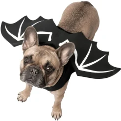 Déguisement chien Halloween ailes de chauve-souris noir S/M < Gifi Hot