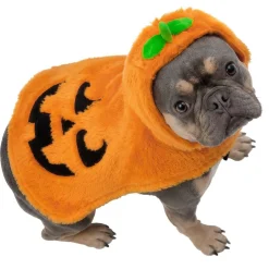 Déguisement chien Halloween pull capuche citrouille orange S/M