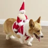 Déguisement chien Père Noël à califourchon rouge et blanc - Taille S