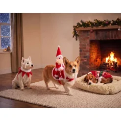 Déguisement chien Père Noël à califourchon - Taille M