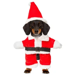 Déguisement de Père Noël pour chien effet humain taille M/L < Gifi Hot
