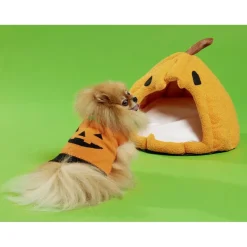 Déguisement Halloween pull motif citrouille pour chien