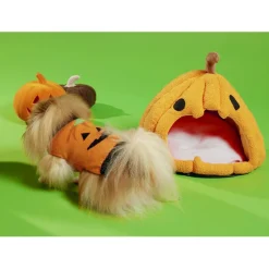 Déguisement Halloween pull motif citrouille pour chien