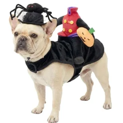 Déguisement pour animal Halloween bonhomme citrouille sans tête noir L/XL < Gifi Hot