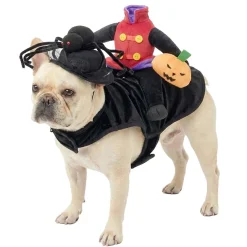 Déguisement pour animal Halloween bonhomme citrouille sans tête noir L/XL < Gifi Hot