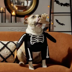 Déguisement pour chien squelette noir et blanc S/M < Gifi Discount