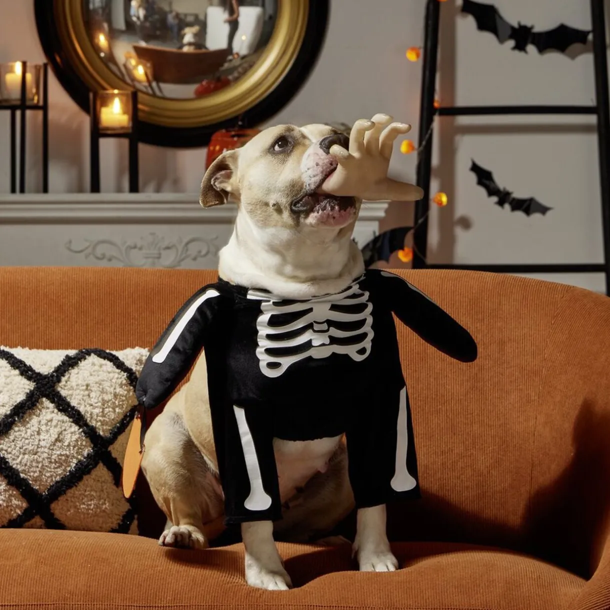 Déguisement pour chien squelette noir et blanc L/XL < Gifi New