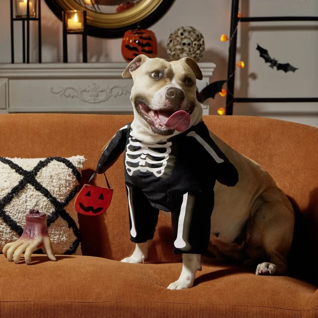 Déguisement pour chien squelette noir et blanc L/XL < Gifi New