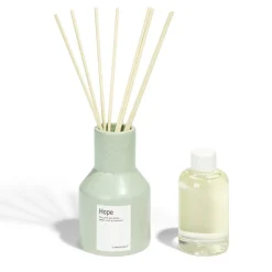 Diffuseur de parfum par capilla Hope lilas doux et jacinthe vert < Gifi Clearance