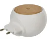 Diffuseur d'huiles essentielles prise électrique