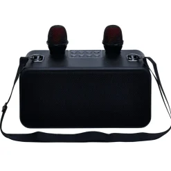 Enceinte karaoké 2 micros Homday Party