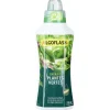 Engrais liquide pour plante verte 750 ml < Gifi Hot